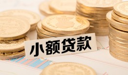成都快速空放-成都快速个人短借-成都快速身份证小额贷款