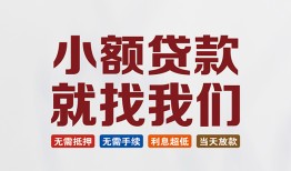 成都快速短借私借空放-成都快速哪有民间借贷-成都快速应急贷款