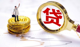 成都快速民间大额借贷-成都快速民间私人借贷-成都快速小额短借