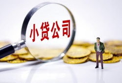 成都快速私人借贷放款-成都快速身份证贷款分期-成都快速哪里可以信用贷款